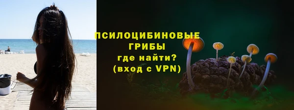 дурь Алзамай