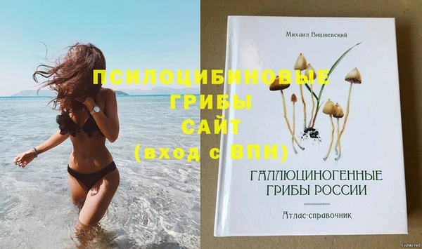 а пвп мука Абдулино