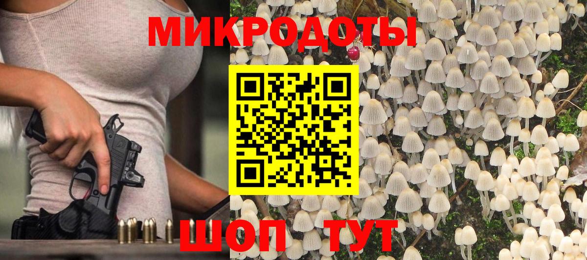 Псилоцибиновые грибы Psilocybe Лиски